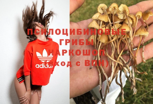 ГАЛЛЮЦИНОГЕННЫЕ ГРИБЫ Абаза