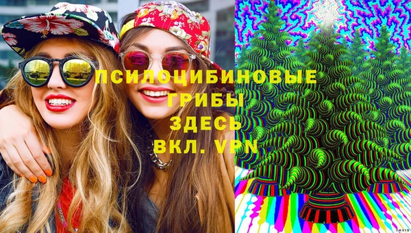 ешки Абдулино