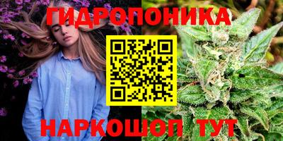 мдпв Севастополь