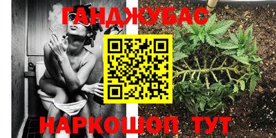 a pvp Сланцы