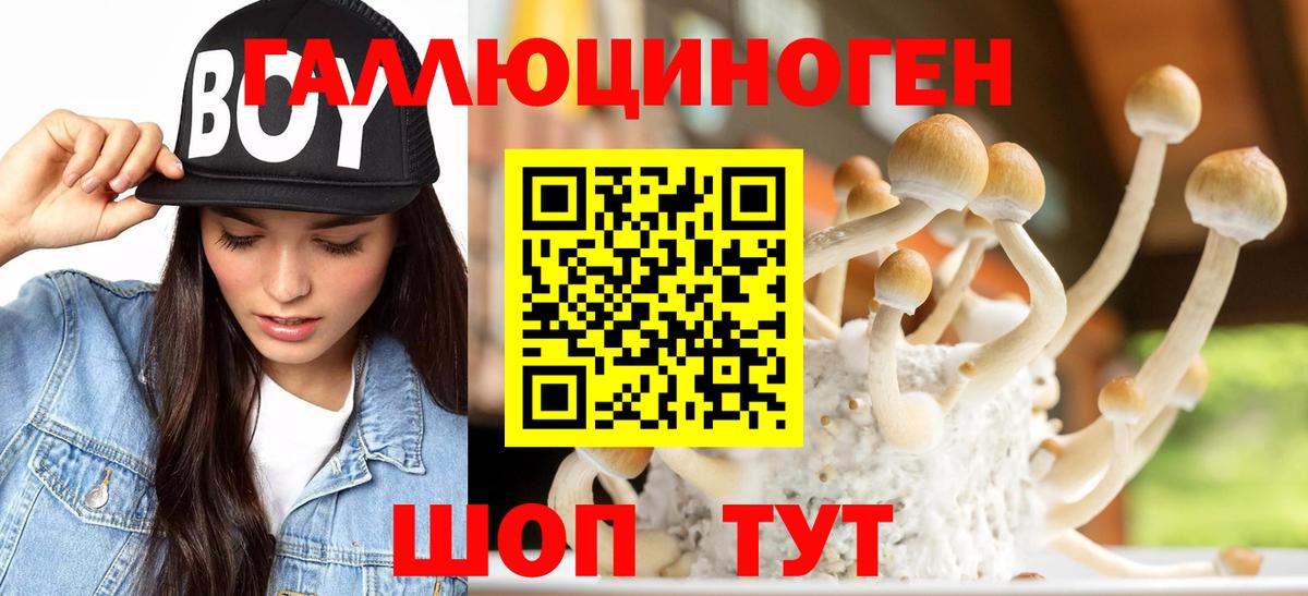 Псилоцибиновые грибы GOLDEN TEACHER  где продают наркотики  Сарапул  Вход с VPN 